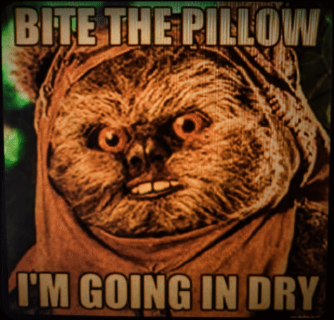 Twitter S. B. Alger @sewneo Replying to @ToriNicksWho Jul 9, 2019:  ...oh I've totally done that! You'll love it. I highly recommend it.  I totally thought I was gonna find info related to this old classic meme: BITE THE PILLOW I'M GOING IN DRY